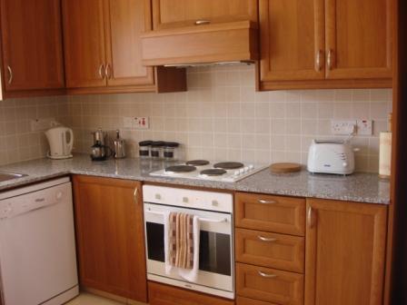 wood_kitchen/
